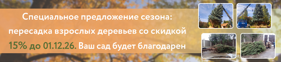 Баннер