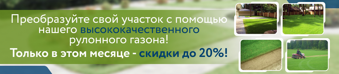 Баннер